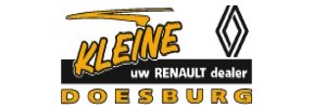 logo renault 2024 300 100