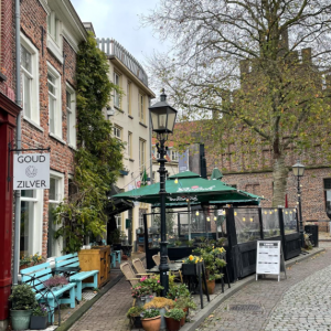 terras bruut